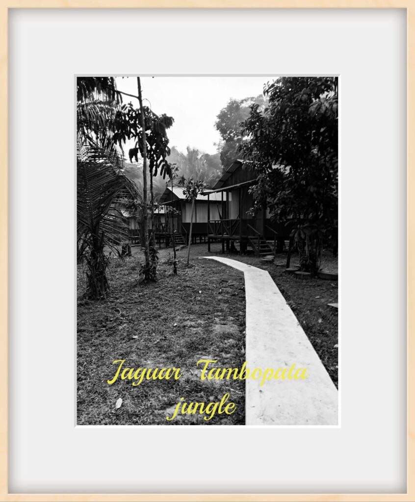 Habitación matrimonial