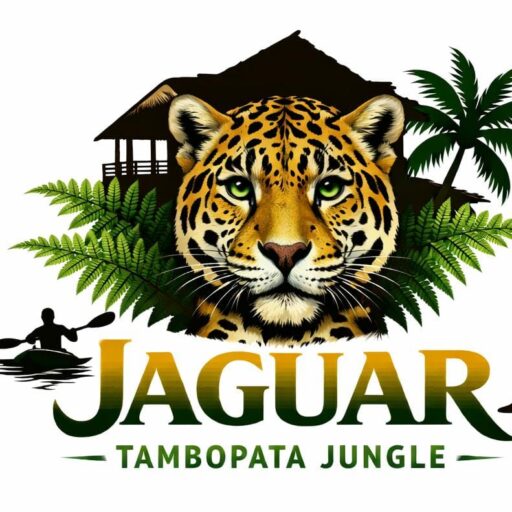 Un Refugio en el Corazón de la Amazonía