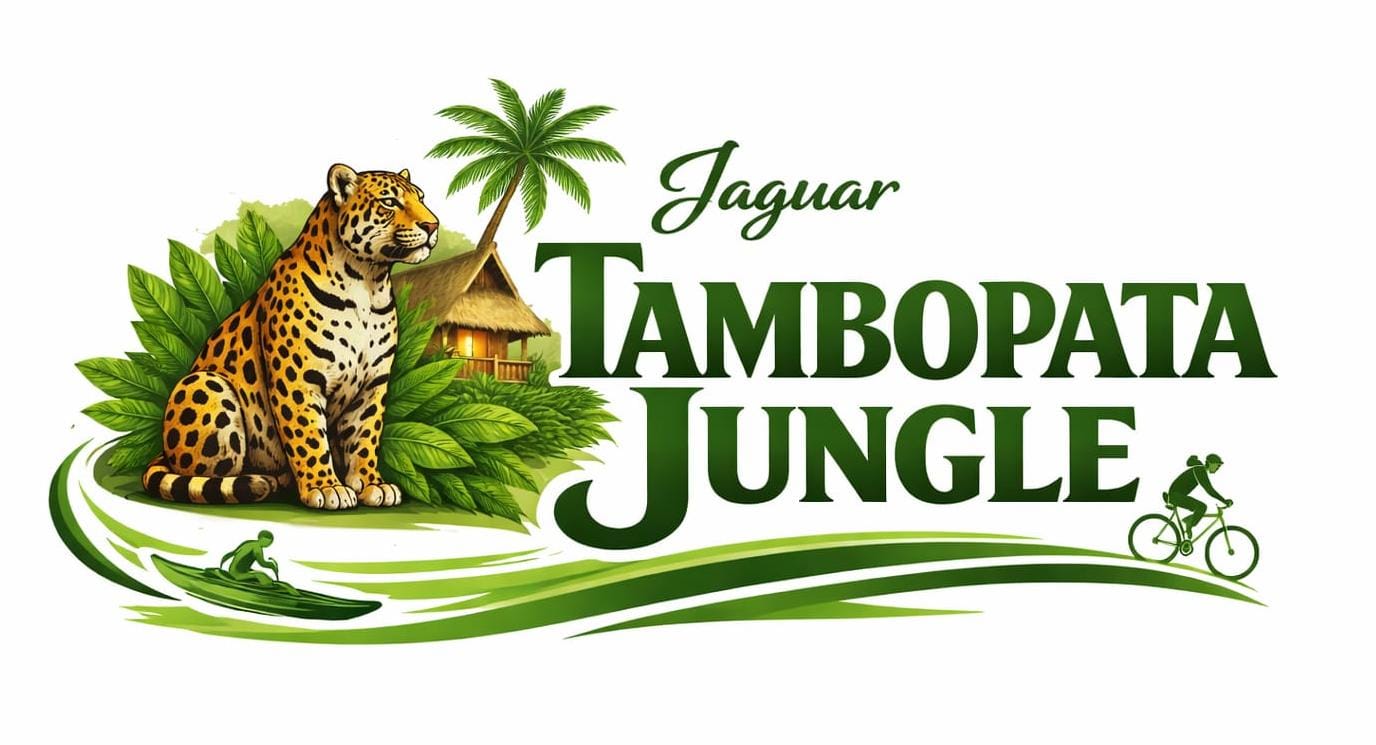 Jaguar Tambopata Jungle