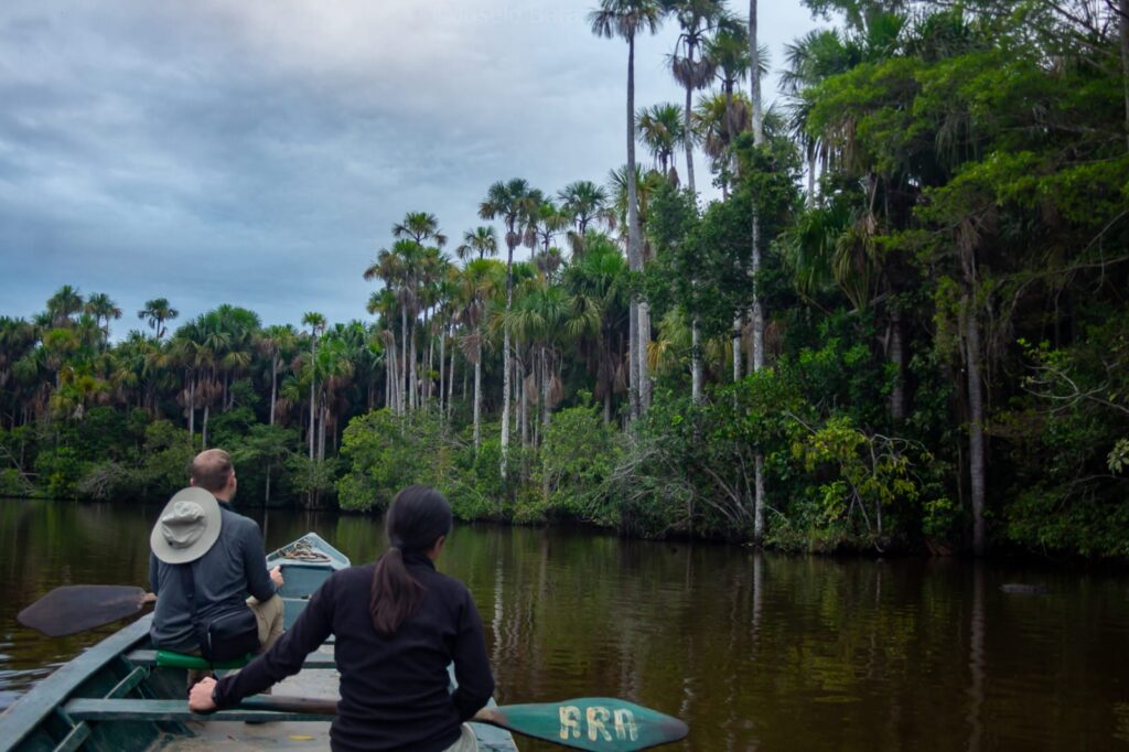 Fauna amazónica en Lago Sandoval, Puerto Maldonado