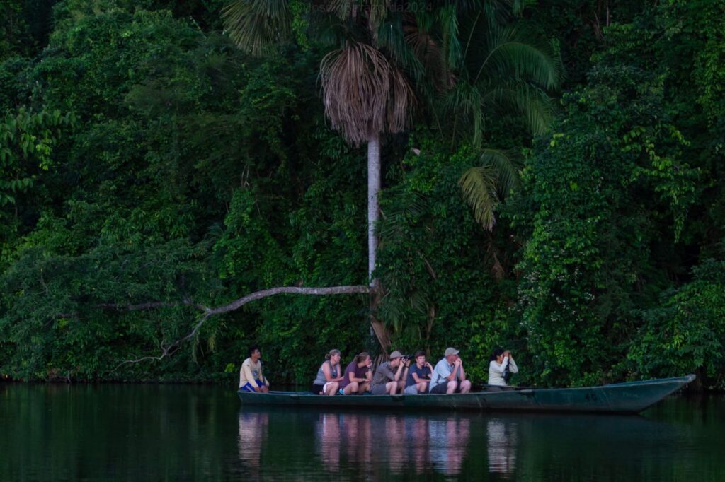 Kayak en la Amazonía de Tambopata, Perú