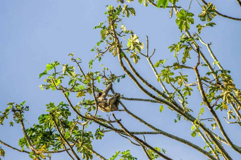 5-_MG_4408